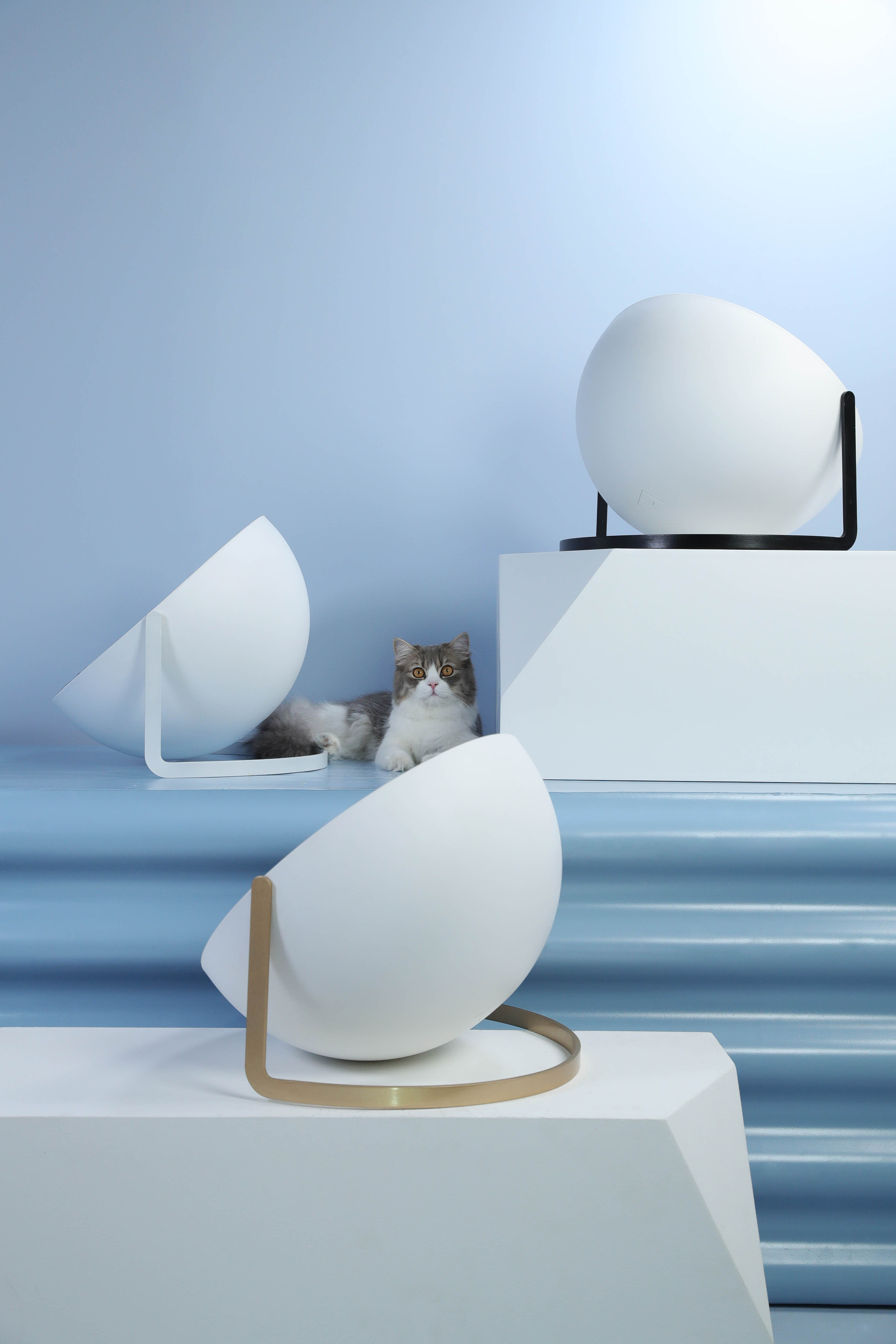 猫都是艺术家,猫窝理应成为一件艺术品|摄影|产品摄影|ft尾巴生活