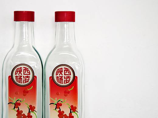 陕西特产包装设计