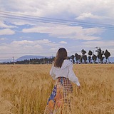 八月菜菜籽的头像