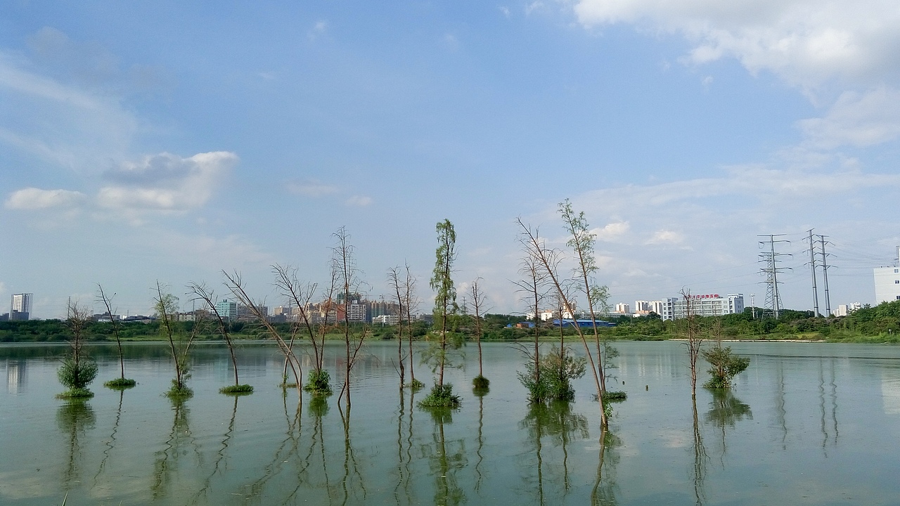 个人随拍，记录生活点滴（图ZNTI2ODE3MDQ=） - 风光摄影 - 站酷设计师美是一种境界原创素材 - 站酷ZCOOL