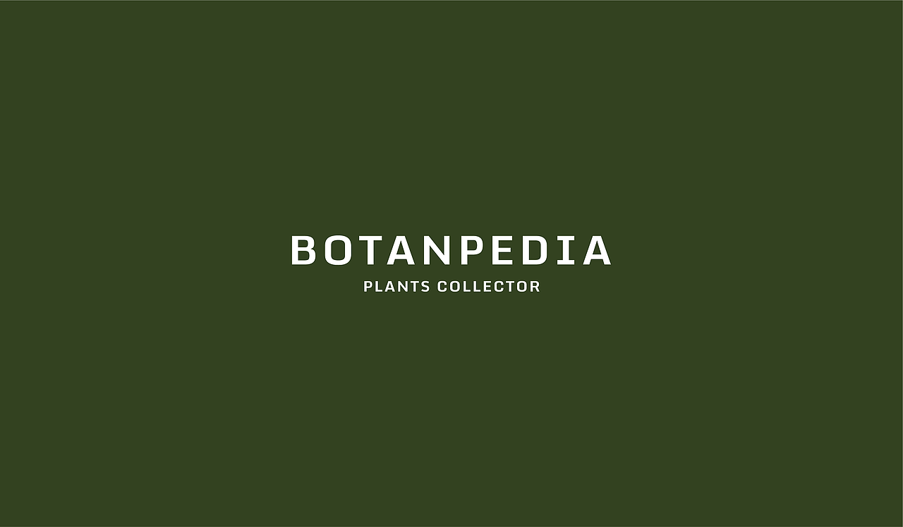 BOTANPEDIA 多肉植物专卖店 (2023)（图ZMzIwOTI0NDYw） - 品牌 - 站酷设计师ONOFF工作室原创素材 - 站酷ZCOOL