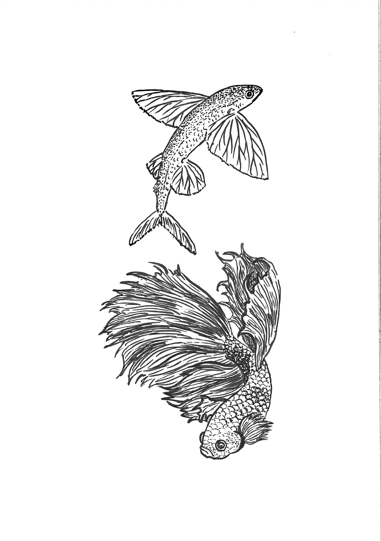 黑白毛笔画之海鲜篇（图ZMjEyNjU5MTUy） - 绘画 - 站酷设计师LetterQ原创素材 - 站酷ZCOOL