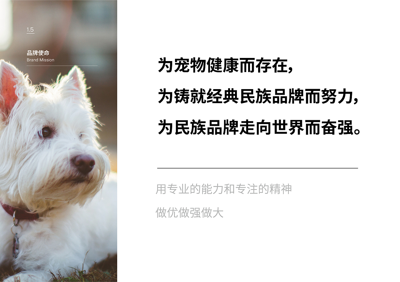 ERIK爱力克·宠物品牌VIS设计（图ZMjc4MjU4OTcy） - 品牌 - 站酷设计师明明Mindy原创素材 - 站酷ZCOOL