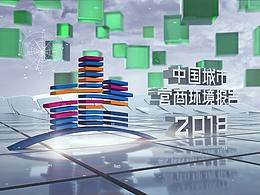 CCTV中国营商环境报告