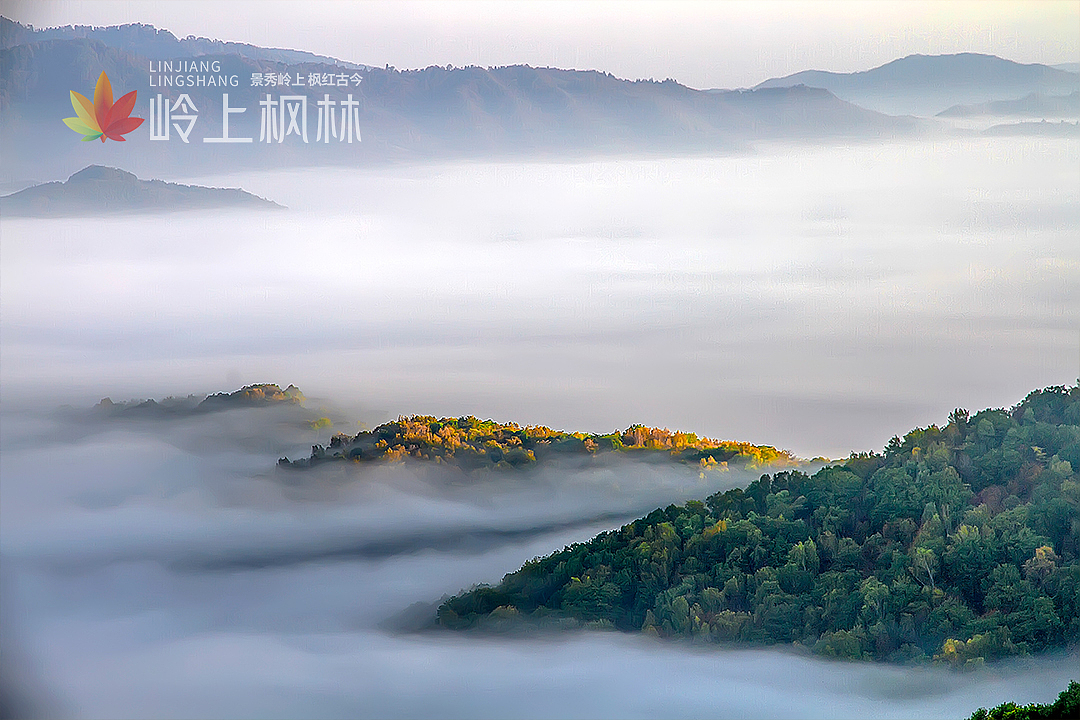 临江市岭上枫林景区LOGO