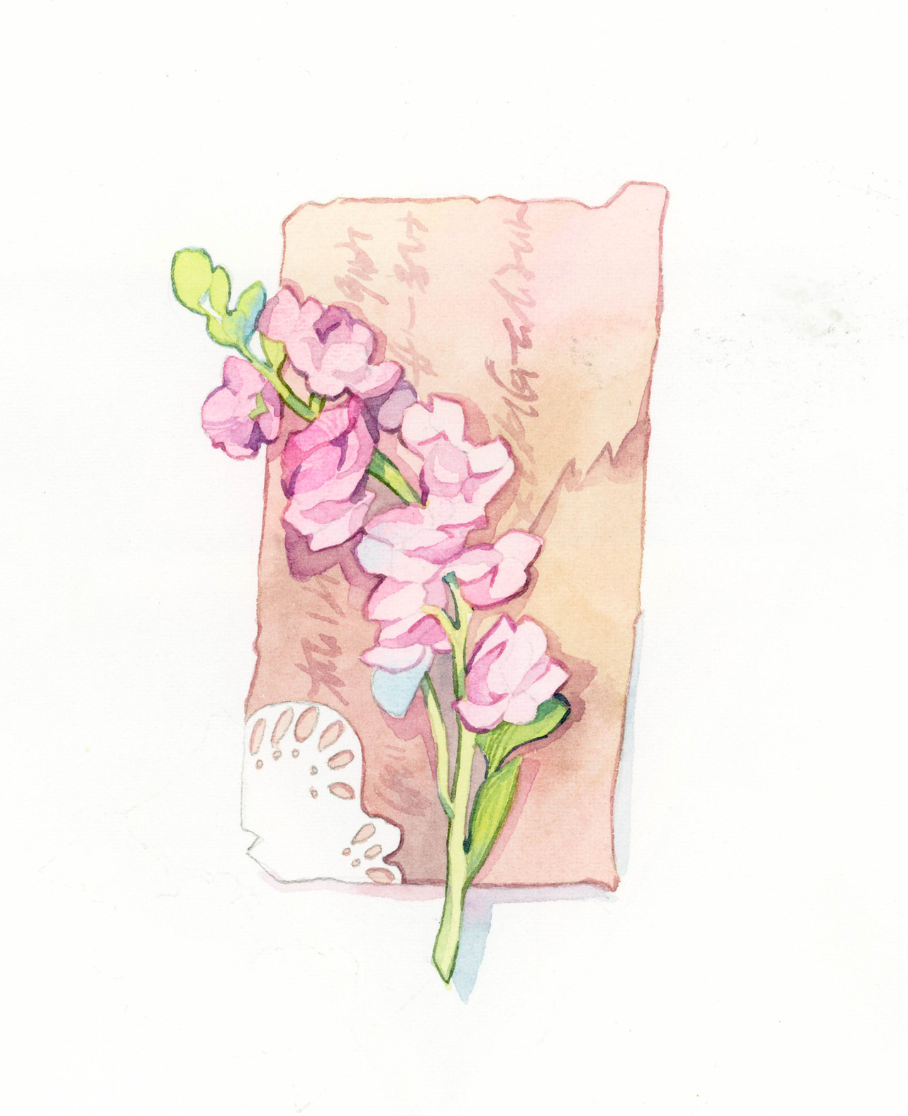 花卉小想法们系列2