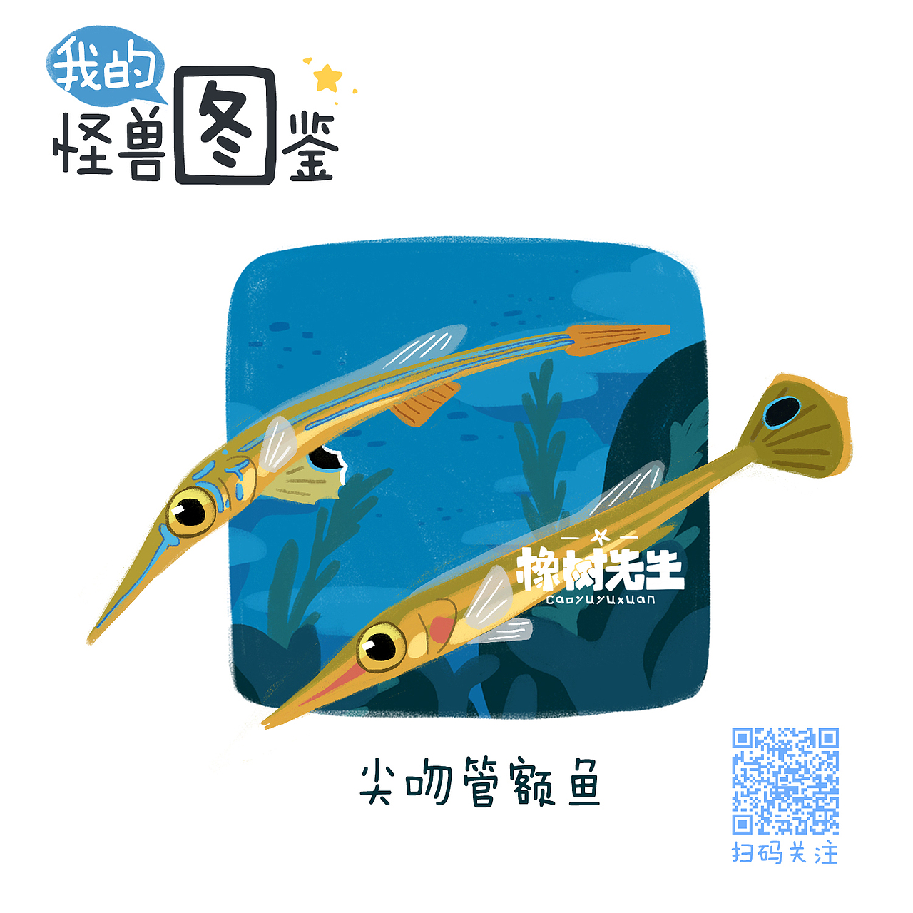 我的怪兽图鉴（海水鱼）（图ZMTEyMTAzNzcy） - 商业插画 - 站酷设计师橡树先生原创素材 - 站酷ZCOOL