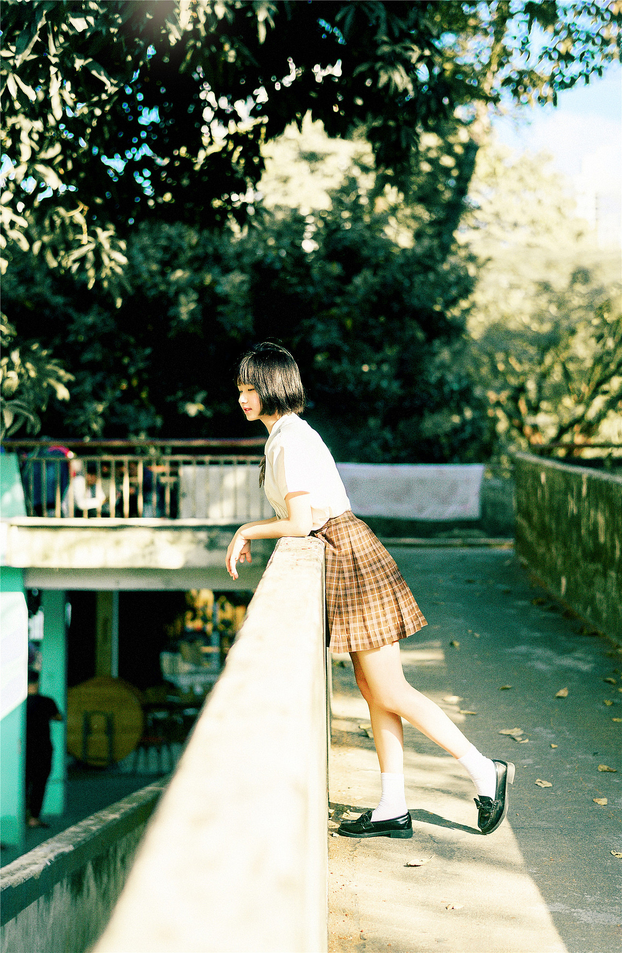 我在人间贩卖日落