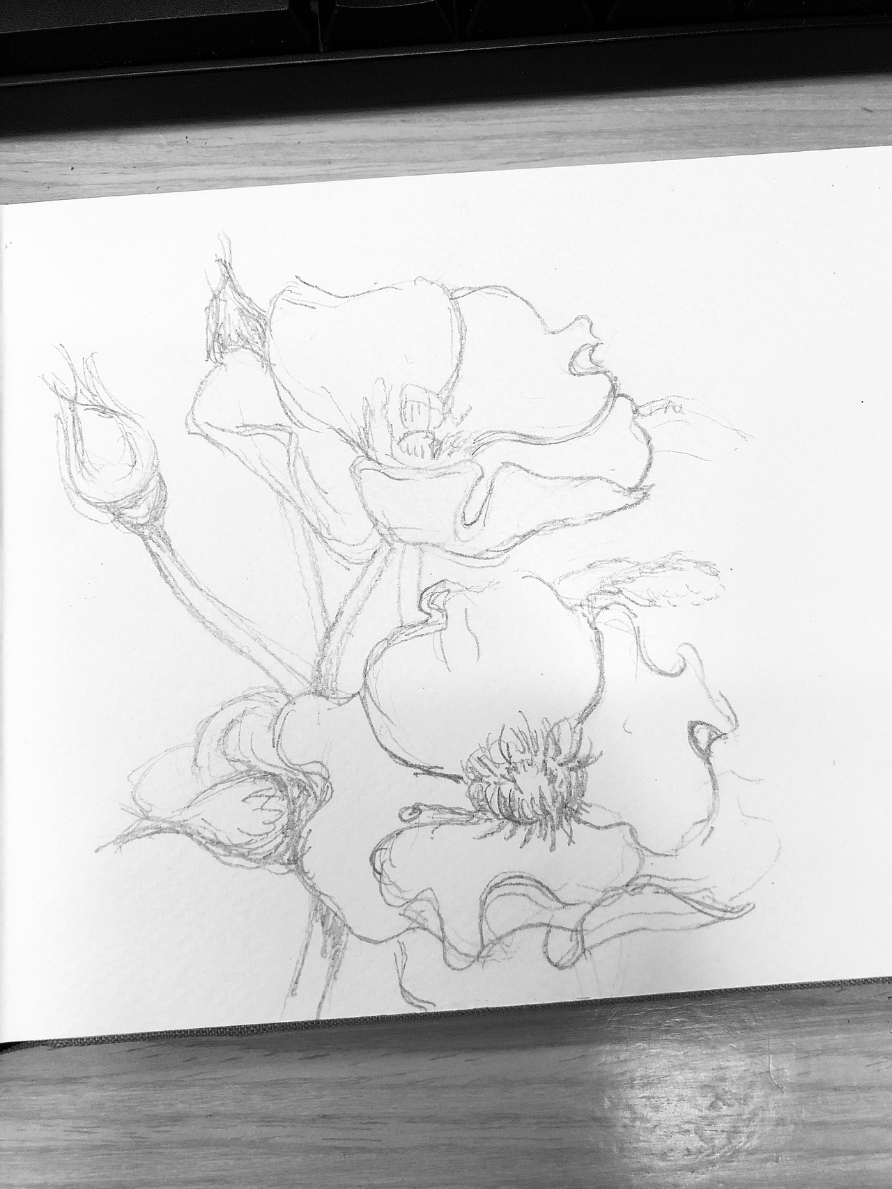 新年小红花（图ZMTQyMDg0OTgw） - 创作习作 - 站酷设计师言不甩原创素材 - 站酷ZCOOL