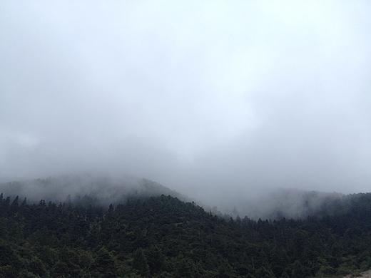 西  藏  行-一次饶恕自己的旅行