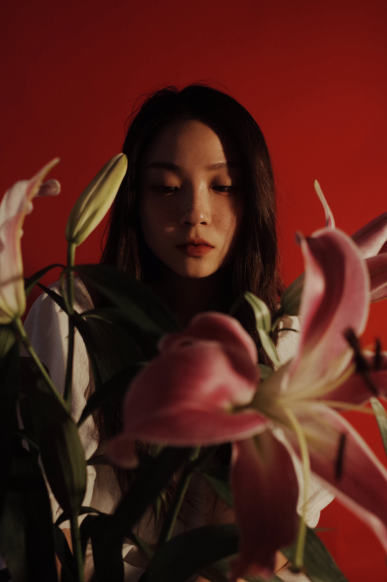 红 百合（图ZMjU3NzMxODE2） - 人像摄影 - 站酷设计师LYSDA原创素材 - 站酷ZCOOL