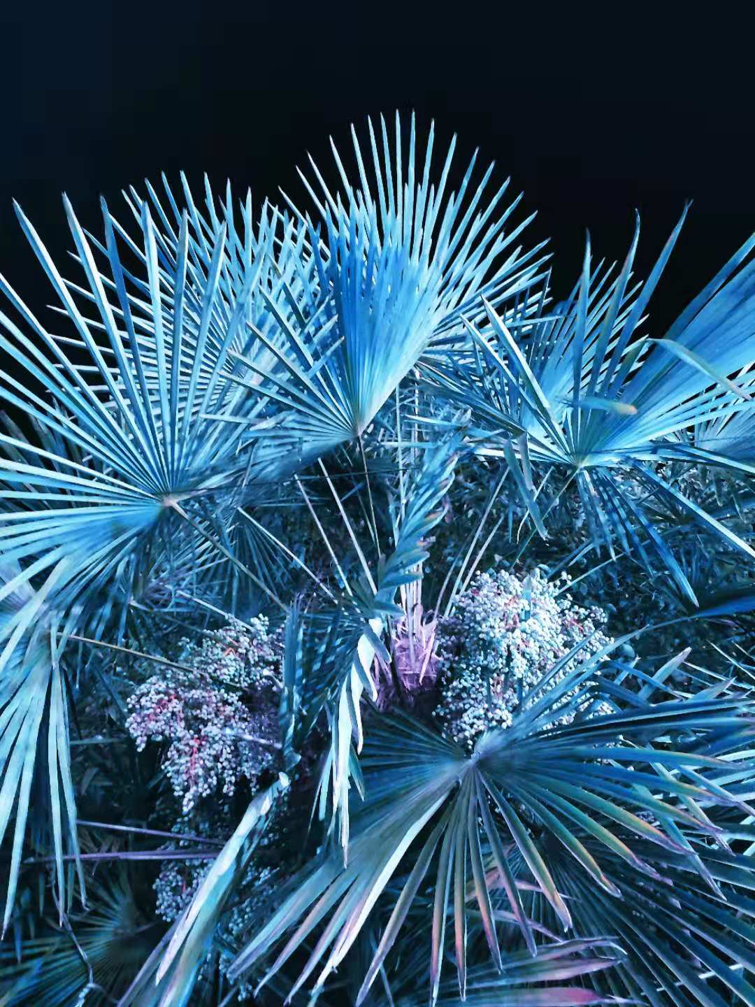 一棵白菜設(shè)計(jì)的個(gè)人主頁（背景預(yù)覽） - 主頁背景設(shè)置 - 站酷設(shè)計(jì)師一棵白菜設(shè)計(jì)原創(chuàng)素材 - 站酷ZCOOL