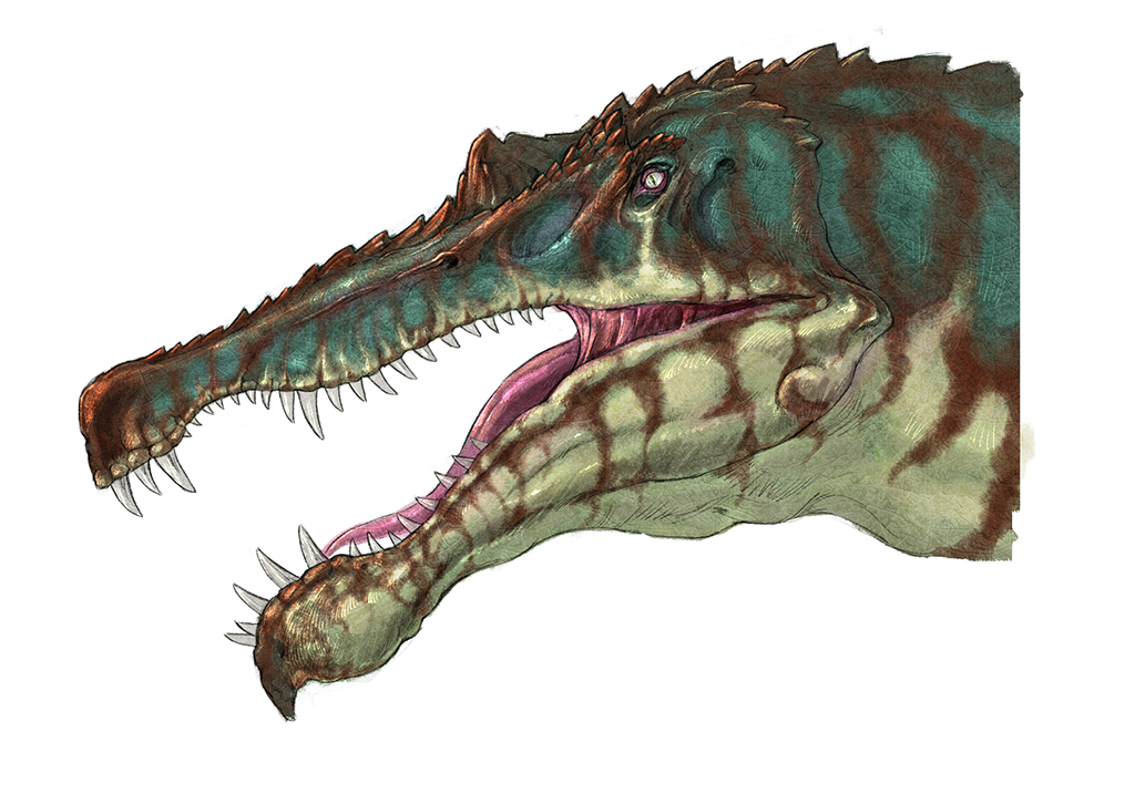 最早的恐龙复原图图片