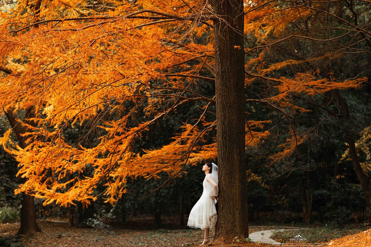 秋（图ZMTg5Mzk5OTE2） - 人像摄影 - 站酷设计师雨绮原创素材 - 站酷ZCOOL