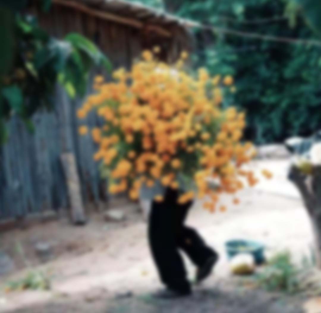 許笑雨的個(gè)人主頁(yè)（背景預(yù)覽） - 主頁(yè)背景設(shè)置 - 站酷設(shè)計(jì)師許笑雨原創(chuàng)素材 - 站酷ZCOOL