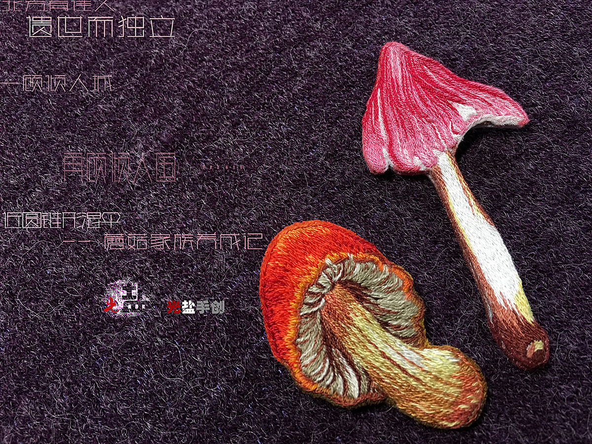 蘑菇家族养成记之近圆锥形湿伞