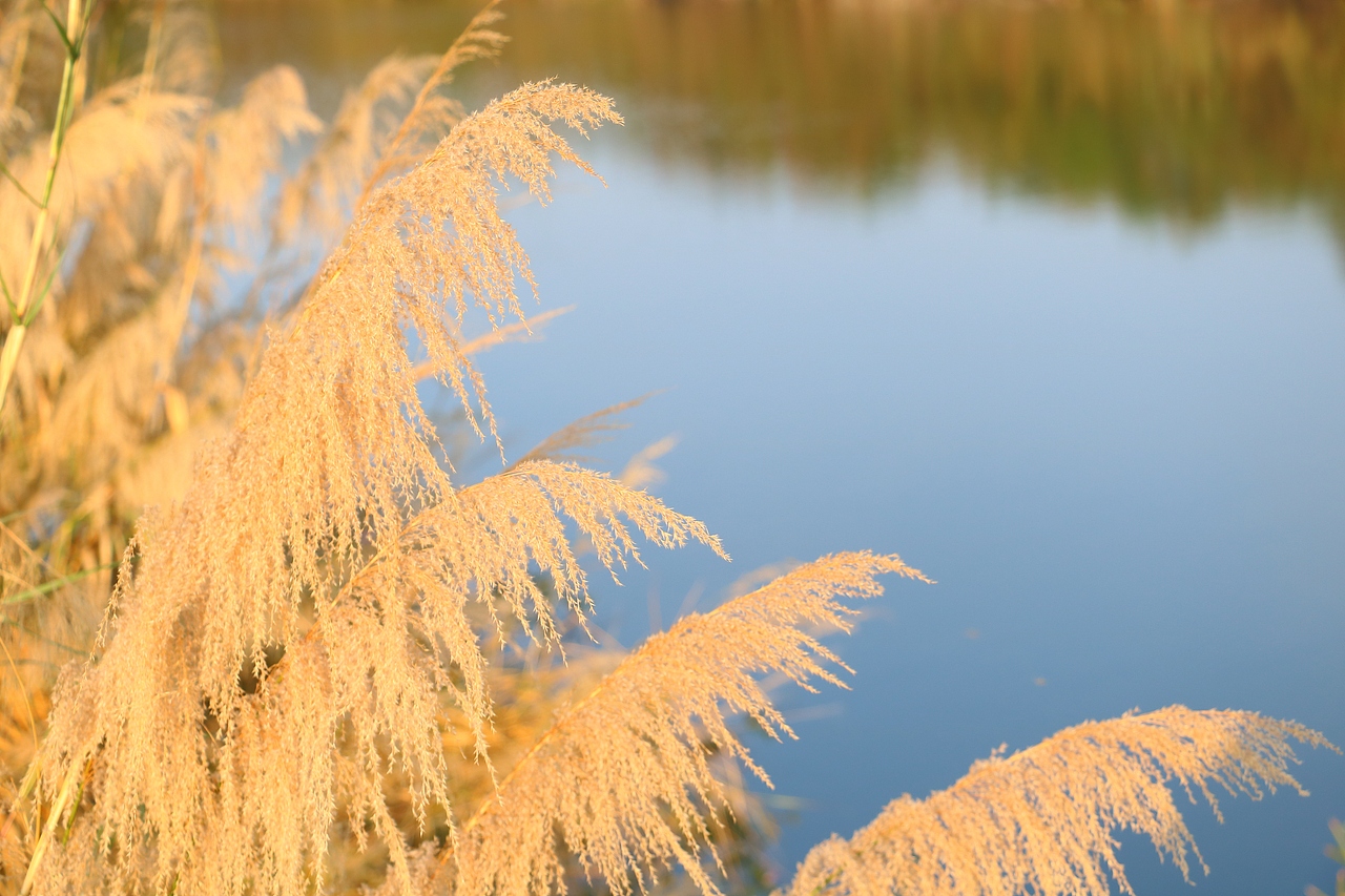 仰望天空（图ZMjY0MDE0NzI0） - 风光摄影 - 站酷设计师多缤设计原创素材 - 站酷ZCOOL