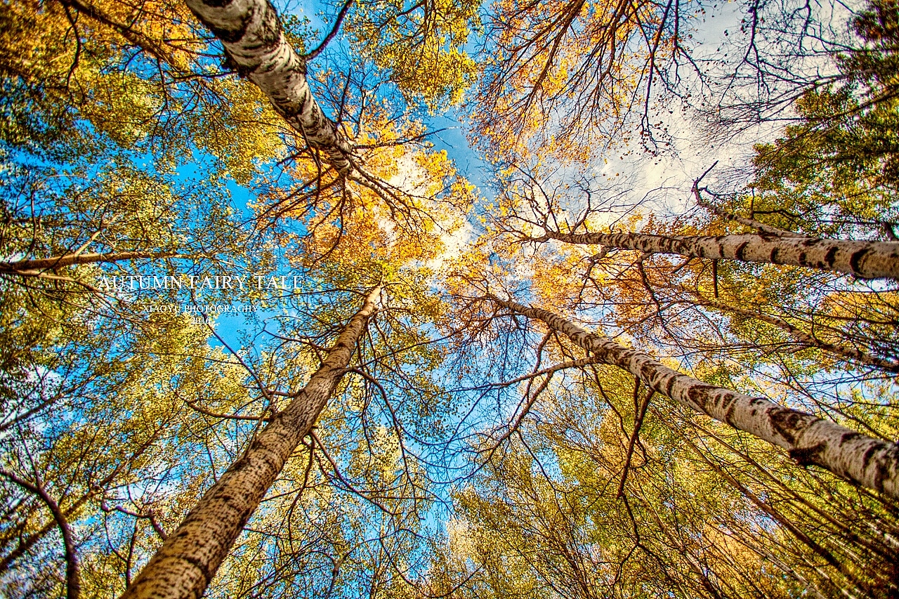 【20161005】避开人群是假期必修课