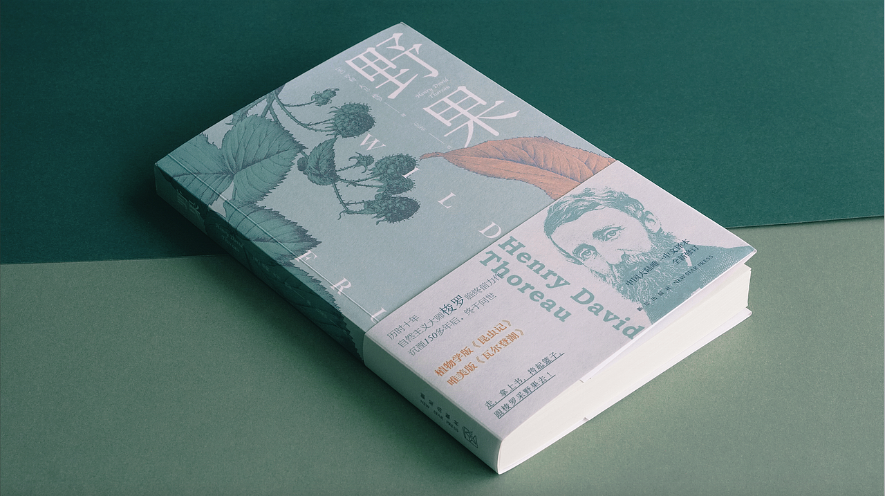 《野果》书封设计