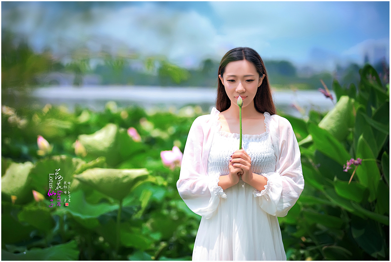 [荷花仙子]（圖ZMjk5OTE5MjQ=） - 人像攝影 - 站酷設(shè)計師千百度vip原創(chuàng)素材 - 站酷ZCOOL