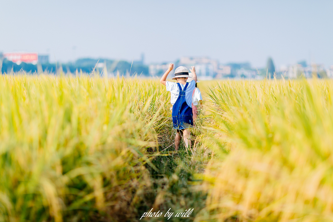 稻香中的微笑（图ZMjQyMzM4NTA0） - 人像摄影 - 站酷设计师斌大Will原创素材 - 站酷ZCOOL