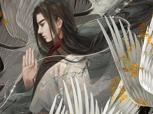 白鹤少年