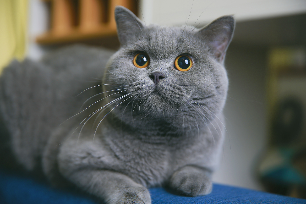 晴空_w的个人主页（封面预览） - 主页封面设置 - 站酷设计师晴空_w原创素材 - 站酷ZCOOL