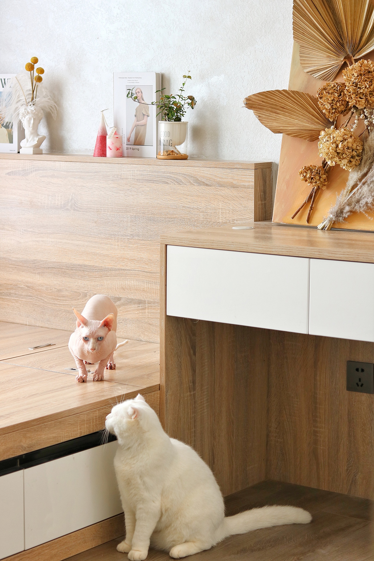 设计没有风格，设计是对生活的一种诠释（图ZMjA5NDcyMzYw） - 家装设计 - 站酷设计师室内设计CK原创素材 - 站酷ZCOOL