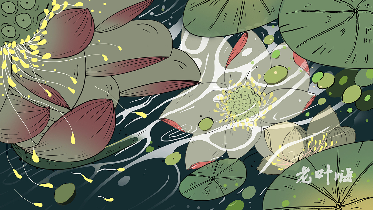 莲花,我的梦中情