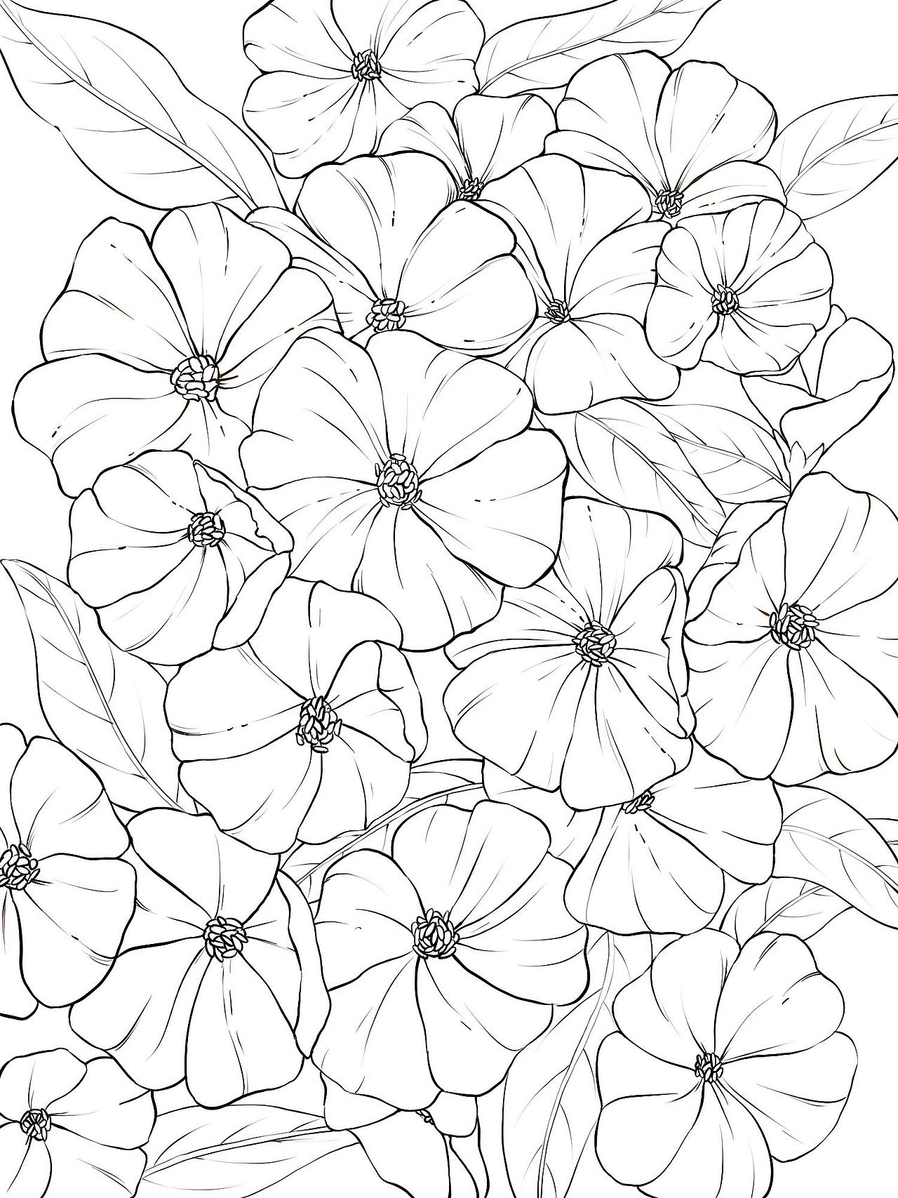 植物花卉-手绘插画