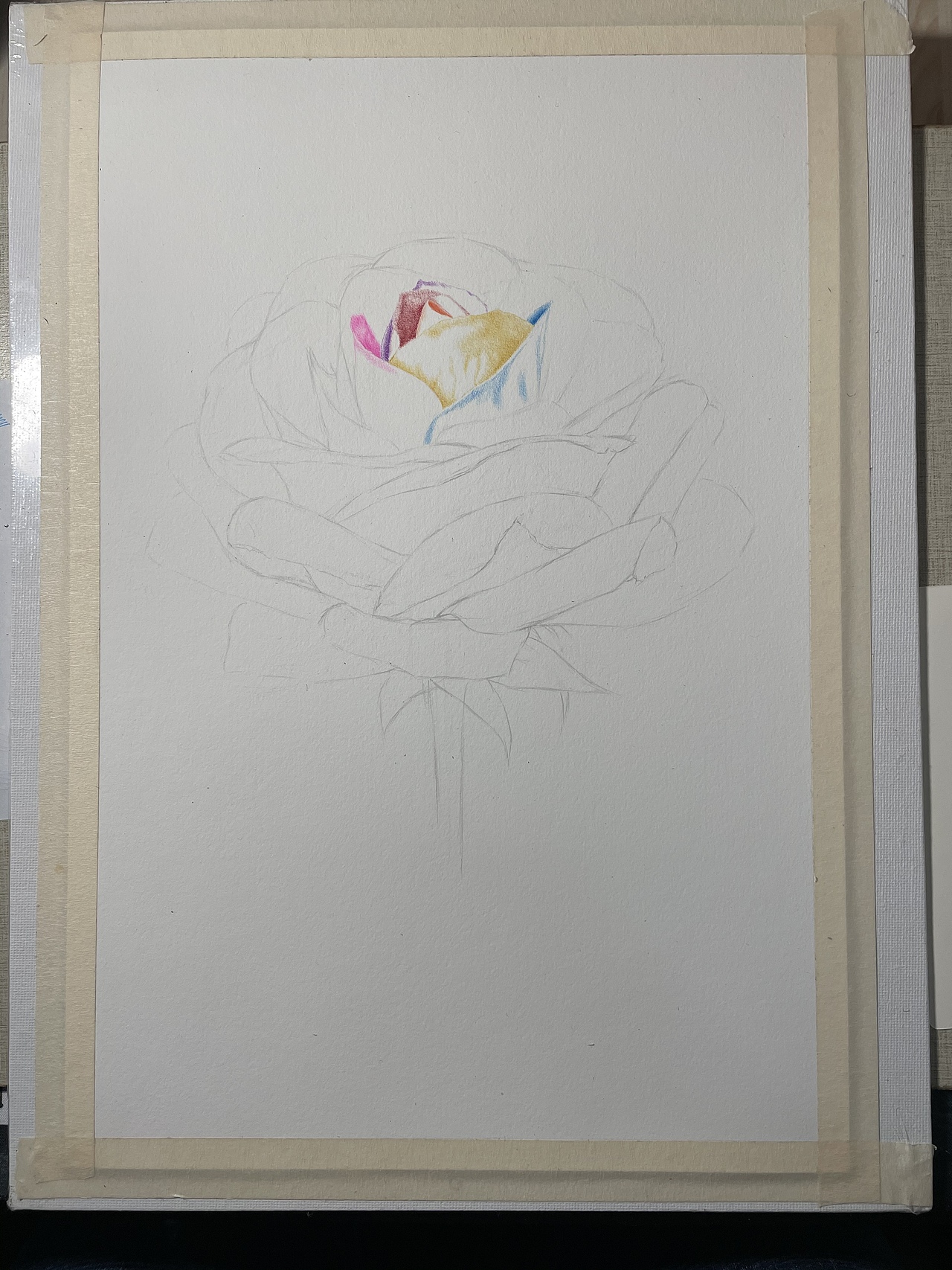 彩色圆珠笔画~《花语》