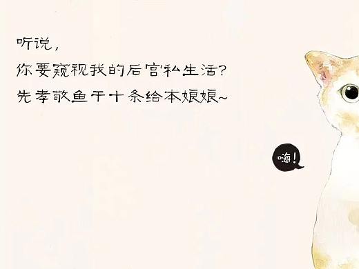 《萌猫后宫交换日记》—— 精美原创插画文创设计