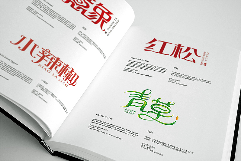 字体标志作品入选 | DESIGNERBOOKS（图ZNTQ1OTI4NTY=） - 字体/字形 - 站酷设计师张家佳设计原创素材 - 站酷ZCOOL