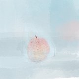 TUANZI团子的头像