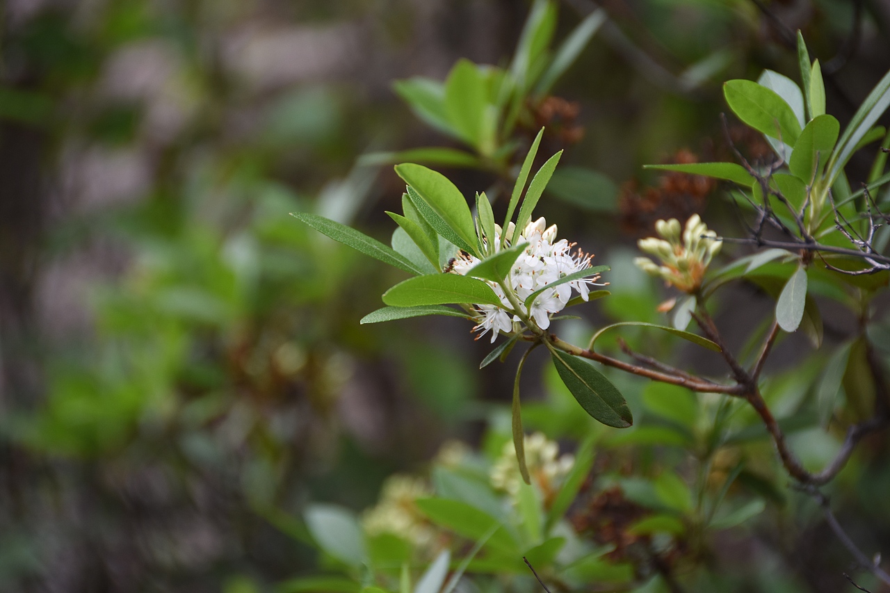 雾灵山 风光 山水（图ZNzQ0OTAwNzY=） - 风光摄影 - 站酷设计师zslll原创素材 - 站酷ZCOOL