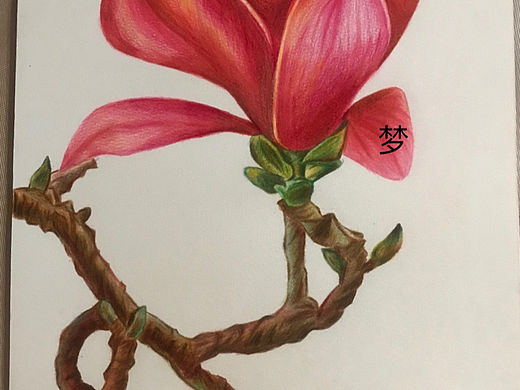 涂涂畫畫（個(gè)人主頁(yè)-ZNjYzNzkyMDA=） - 創(chuàng)作習(xí)作 - 站酷設(shè)計(jì)師瑤一瑤手作藝術(shù)原創(chuàng)素材 - 站酷ZCOOL