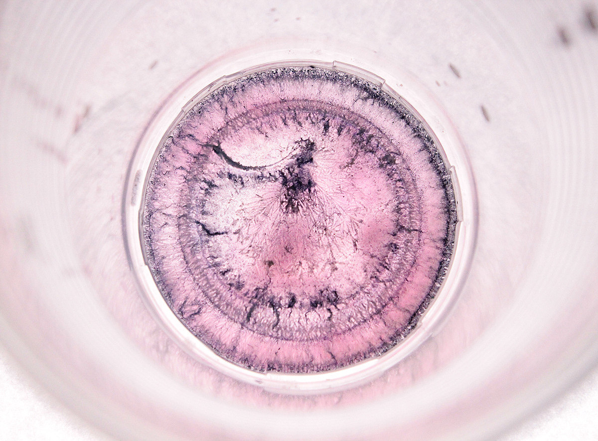 五颜六色（图ZMjAwNzMwNDQ0） - 产品摄影 - 站酷设计师什么都不灰灰原创素材 - 站酷ZCOOL