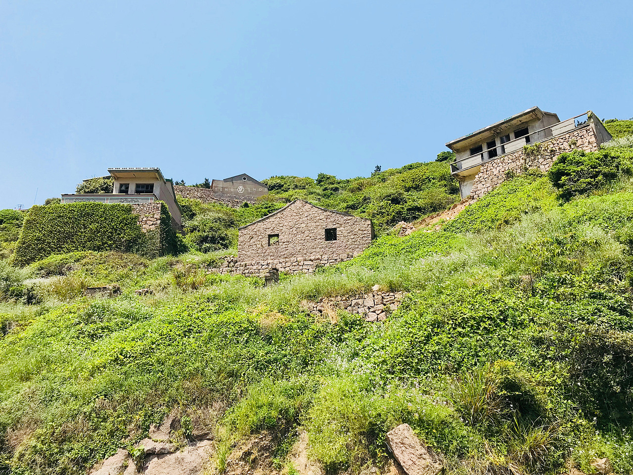 枸杞岛 | 5.6平方公里 我的眼睛盛放不下你的美丽