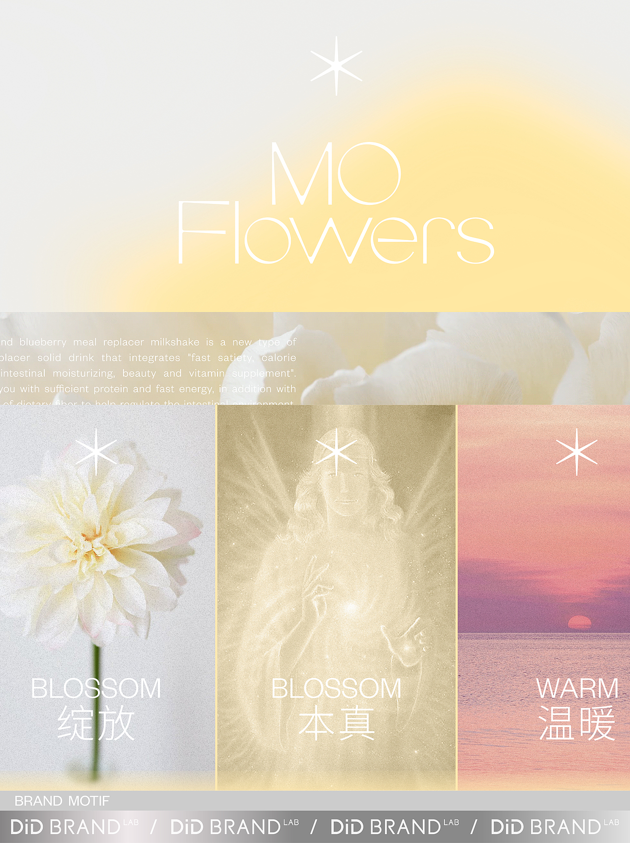 品牌全案|看一眼就忘不了的梦幻品牌设计