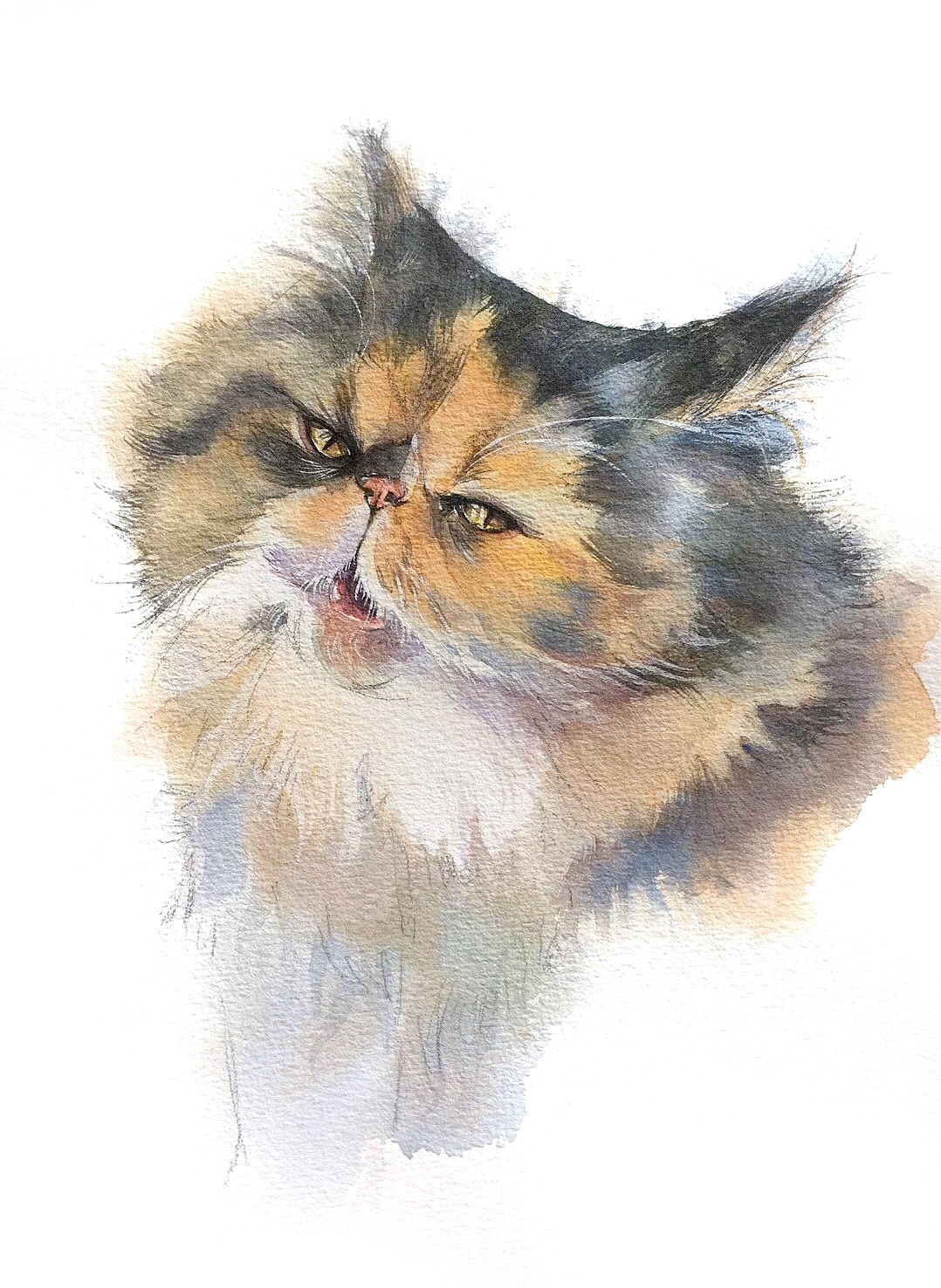 #存图# 没完成的100只猫（图ZMTc0MDM2MDI4） - 创作习作 - 站酷设计师汪野心原创素材 - 站酷ZCOOL