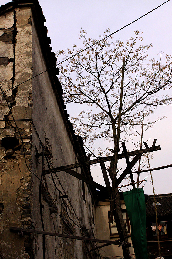 元旦乌镇游记一