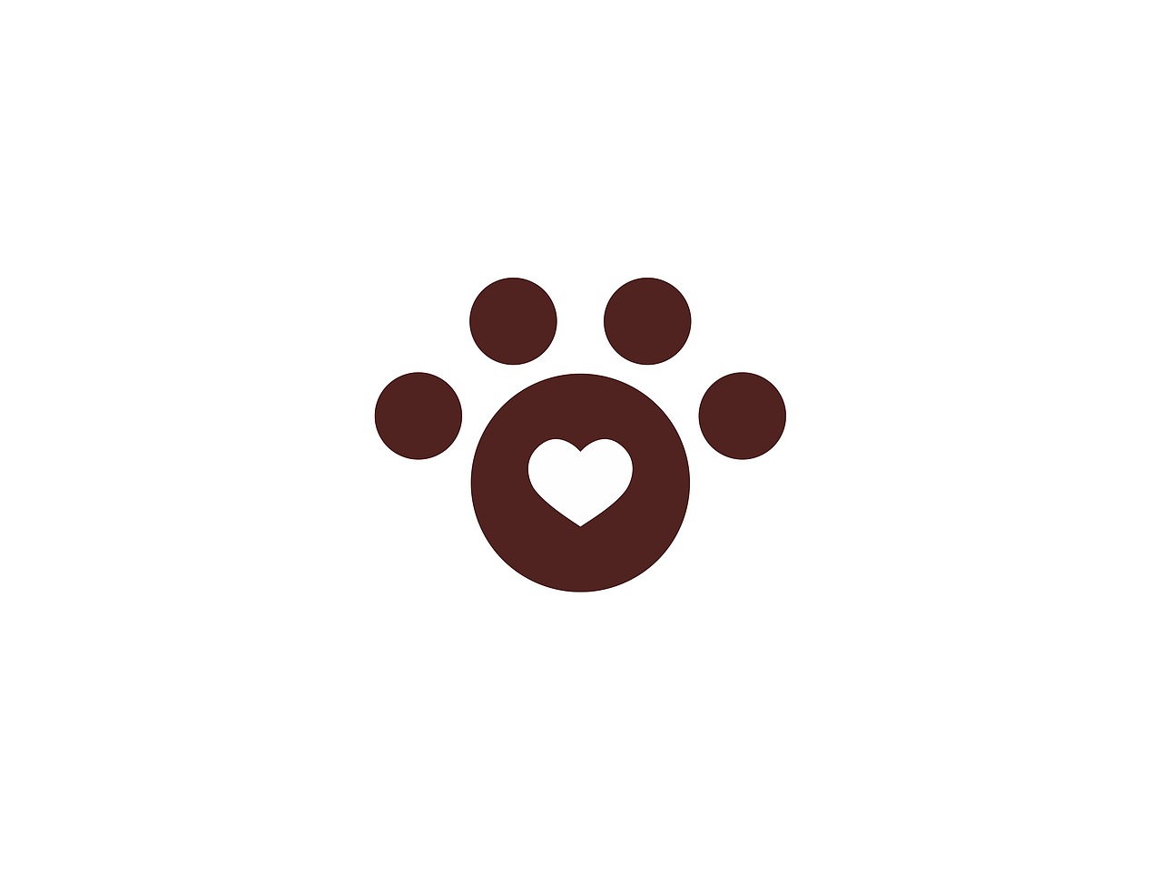 泰迪之家VI设计提案