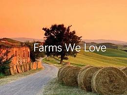 DSD ? 品創(chuàng) ? 餐丨食事春賞