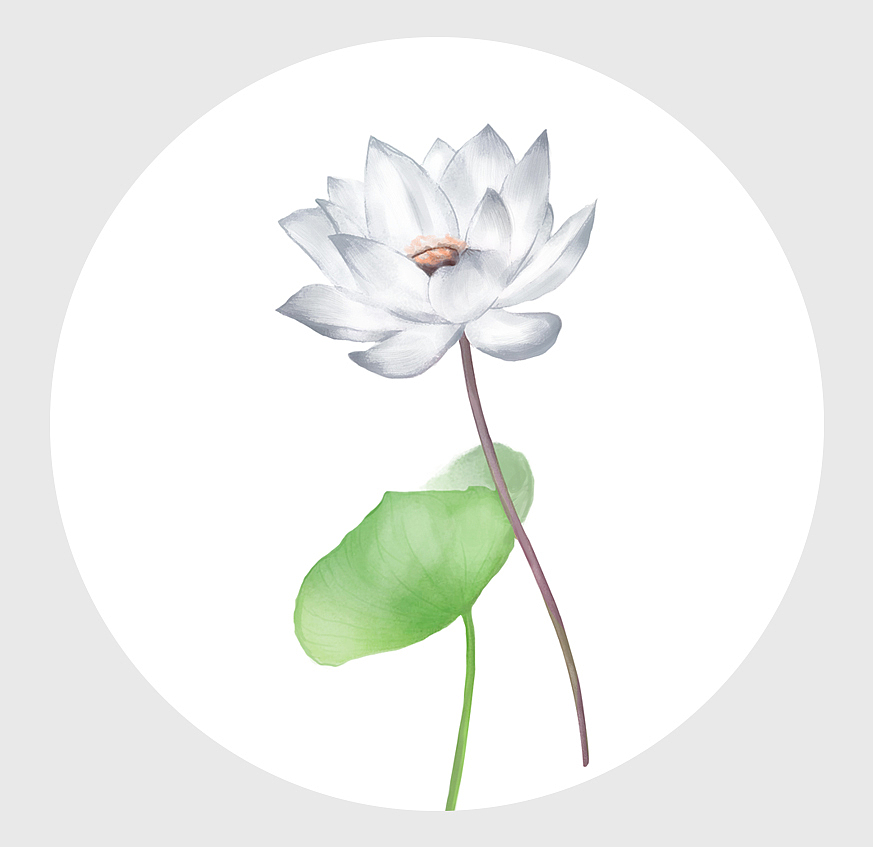 包装插画（图ZMTEzMzEyNzc2） - 商业插画 - 站酷设计师Talina娜原创素材 - 站酷ZCOOL