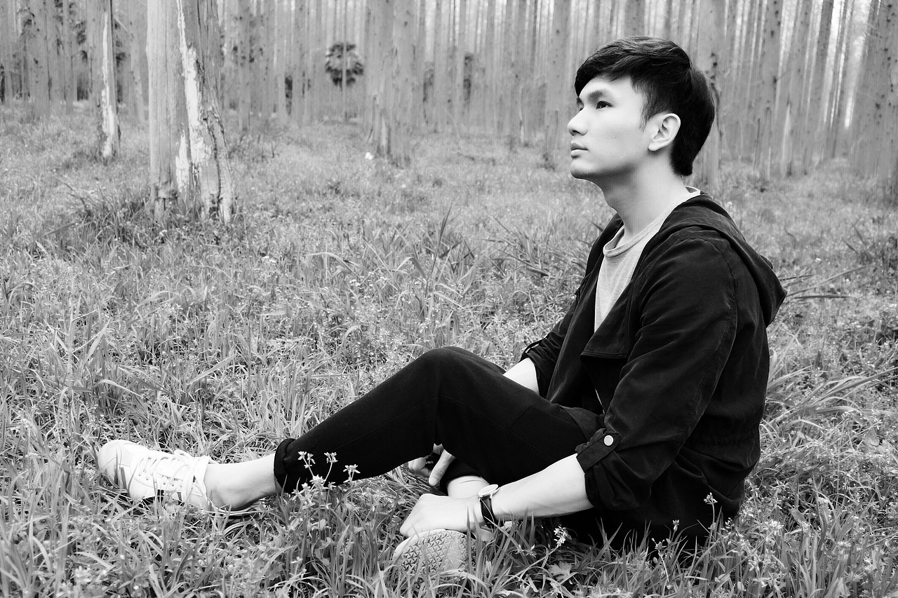 东平森林公园记