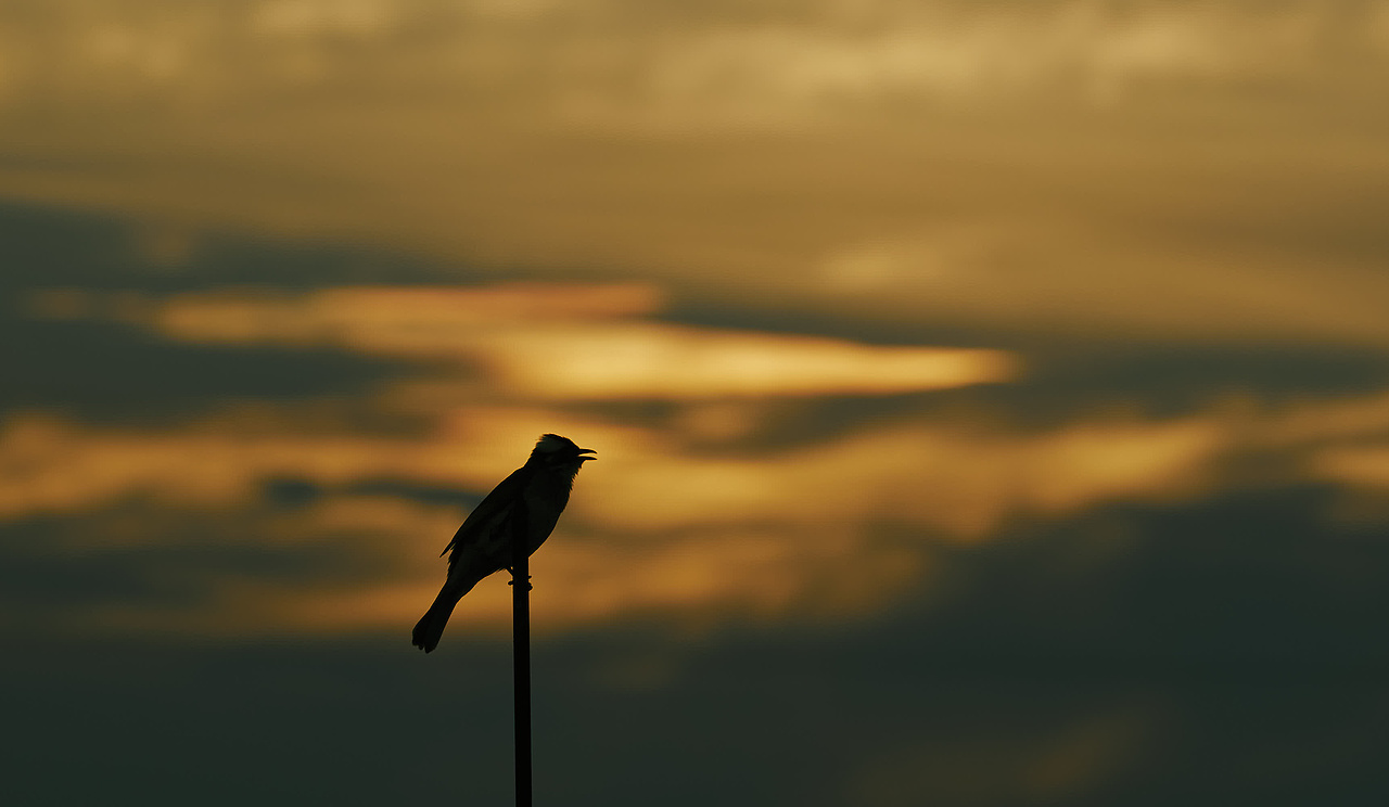 随拍（图ZMzA4MDUxOTcy） - 风光摄影 - 站酷设计师邬城原创素材 - 站酷ZCOOL