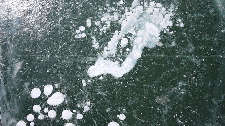 黏在家里 年在家里