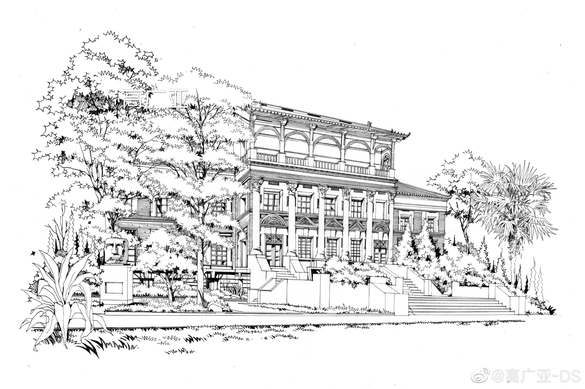 河南大学设计素描图片