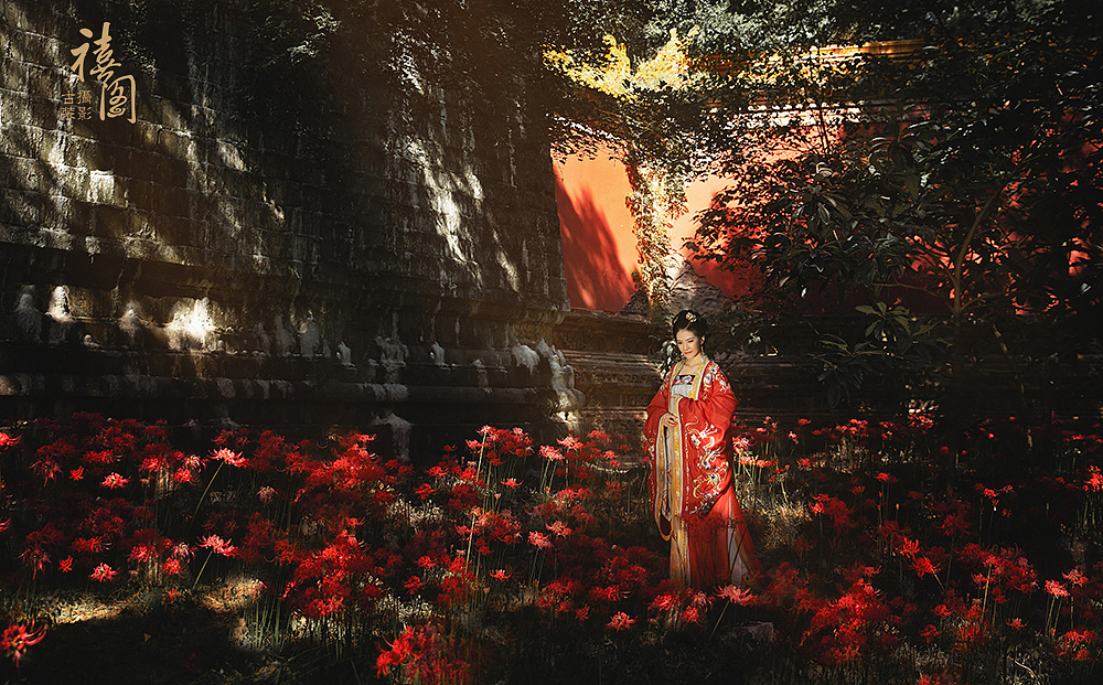 彼岸花(二)|摄影|人像摄影|禧阁古装摄影 - 原创作品 - 站酷 (zcool)