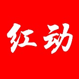 红动品牌管理的头像